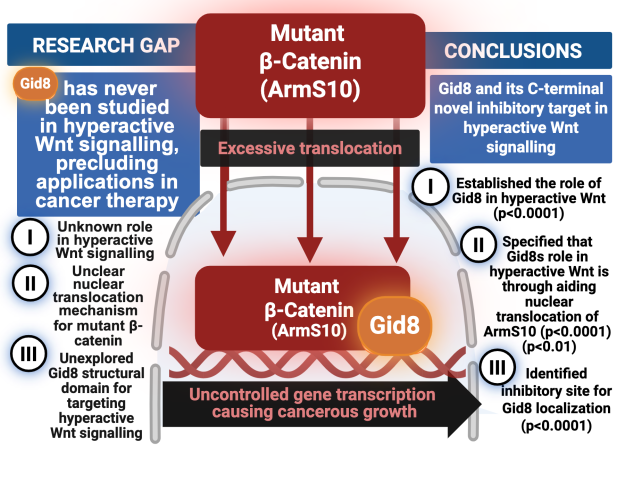 Regeneron ISEF 2025 大奖：BCHM024 - Gid8 对癌症 Wnt 信号的调控