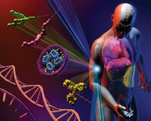 Regeneron ISEF 2025 大奖：BCHM021 - 利用新型共轭化学生成AOC
