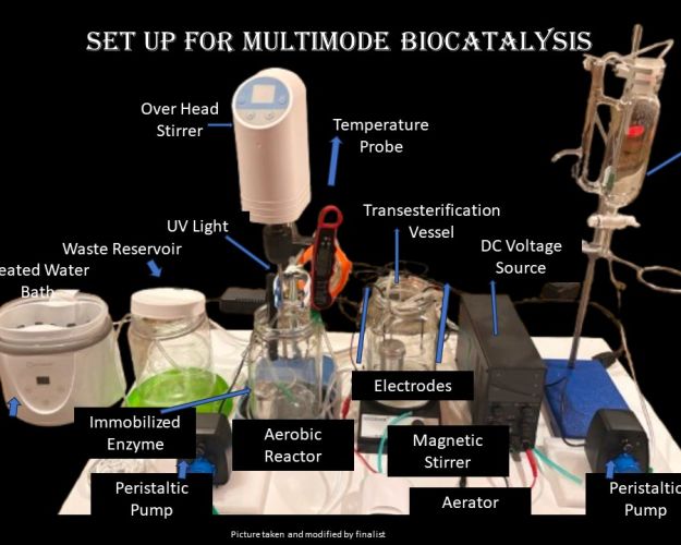 Regeneron ISEF 2025 大奖：BCHM038 - 利用酶进行可持续生物燃料生产