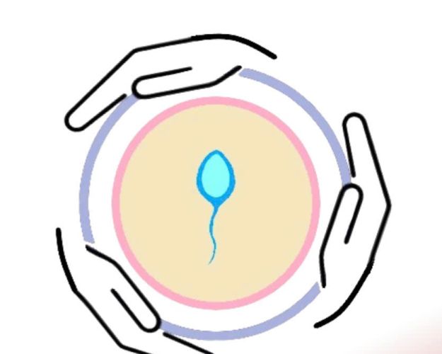 Regeneron ISEF 2025 大奖：ENBM063T - CaMAS：更智能的居家生育测试